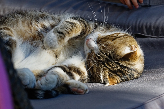 Famille et amis-JUN19-057